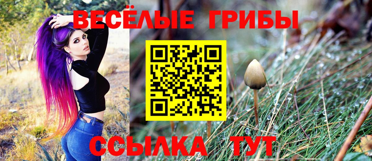 Псилоцибиновые грибы Magic Shrooms  Вход с VPN  Псилоцибиновые грибы мицелий  Сосновоборск 