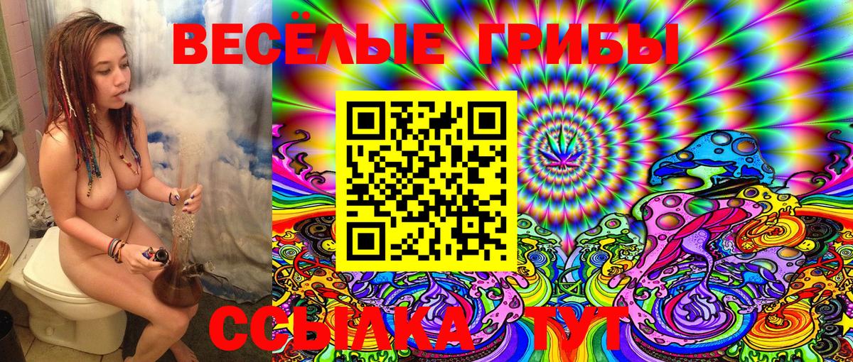 Псилоцибиновые грибы Magic Shrooms Сосновоборск